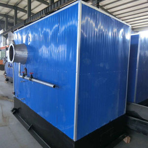 Coal or Biomass Fired Thermal Organic Heater